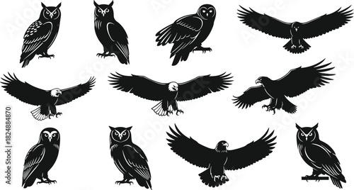 Silhouette, owl eagle, bird of prey, flying wings, perched raptor, wildlife illustration, predator design, black white vector, nature artwork collection