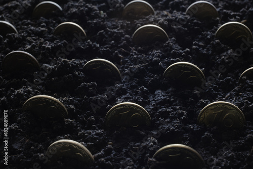 Growing gold coins in dark night ground