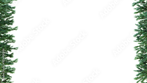 A border of evergreen branches on a white background