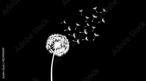 Dandelion seeds blowing away in the wind on a black background, symbolizing freedom, wishes, and new beginnings.