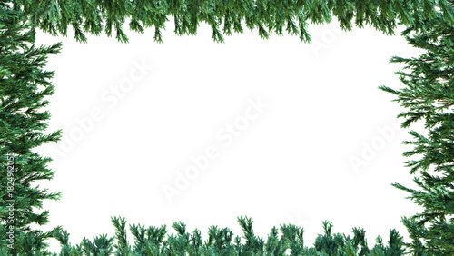 A border of green christmas trees on a white background