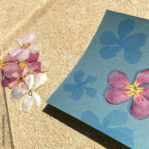 Cyanotype / blueprint process