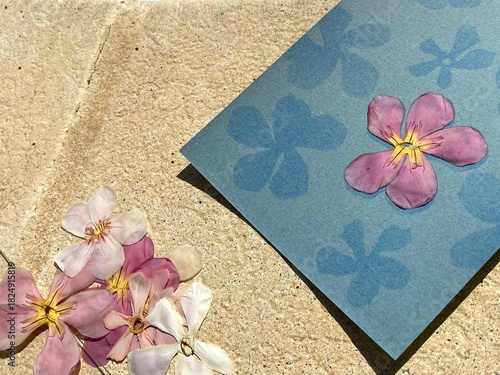 Cyanotype - blueprint in the sun