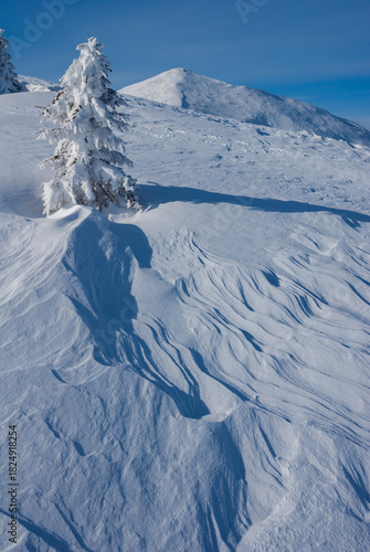 View of a snow-laden tree casting long shadows across a windswept, snow-covered landscape under a clear blue sky, in Babky, Western Tatras, Jamnik, Zilinsky kraj, Slovakia.