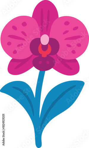 Pink Orchid Tropical Bloom Vector Illustration