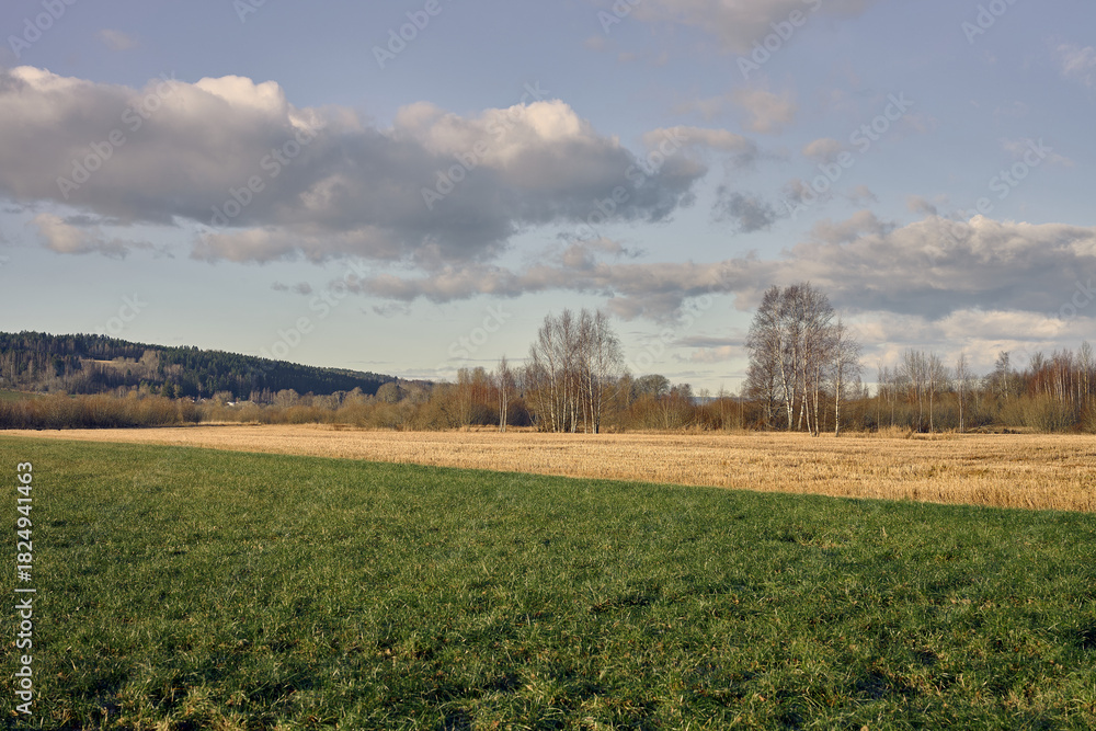 Fototapeta premium Nordic Fields at River Delta Edge