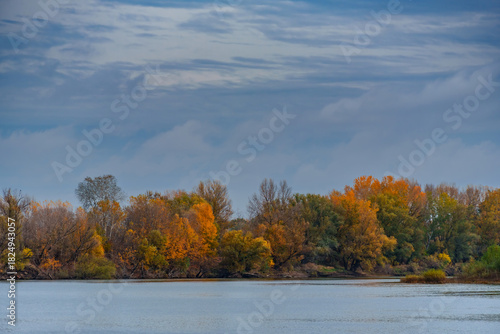 beautiful autumn landscape with river and forest, yellow leaves on trees, cloudy weather