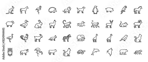 Wildlife animal outline icon set. Vector pictograms of dog, penguin, horse, flamingo, kangaroo, lion, sheep, rabbit, elephant, and tiger, thin linear illustration.
