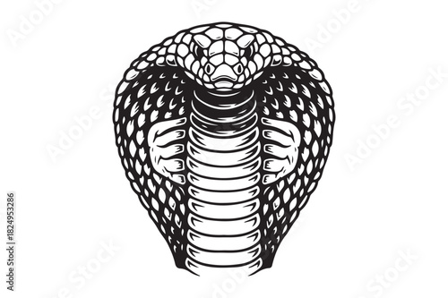 Intricate black and white cobra head illustration