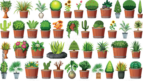 Collection of potted plants in various shapes and sizes on white background.