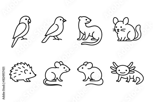 Set of exotic and small pet icons. Ferret, chinchilla, mice, birds, hedgehog and axolotl for pet shop, vet and animal care projects. Vector illustration.