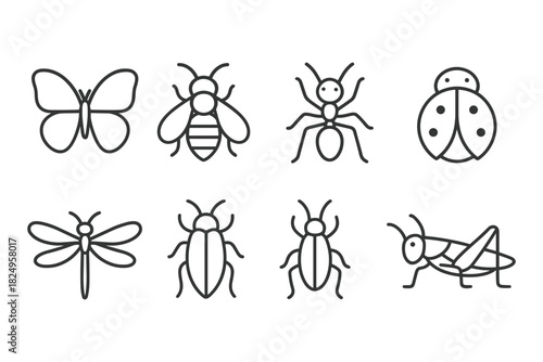 Insects Vector Set: Butterflies, Bees, Ants, and More