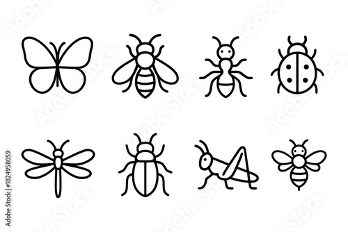 Insects Collection: Butterflies, Bees, Ants, and More