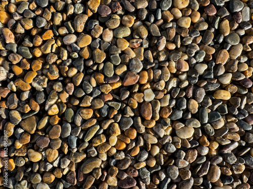 Schilderij op canvas Close-up of colorful river rocks, perfect for backgrounds and textures