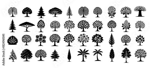 A set of different trees. Hand drawn. Not AI, vector illustration.