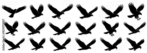 Eagle silhouettes in flying and landing positions. Clean lines show high quality. The set captures wide wings and powerful aerial movement