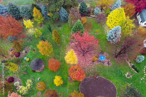 drone photo of my backyard in blazing fall colors with gold, yellow, red, orange, purple, blue against a rich green grass background with elm, oak, spruce, maple, red bud, tamarack, smoke bush and mor