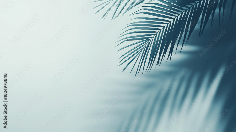 Fototapeta premium Palm leaf shadow on light blue background
