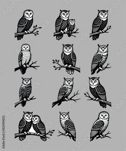 Perched Owl Family Vector Collection