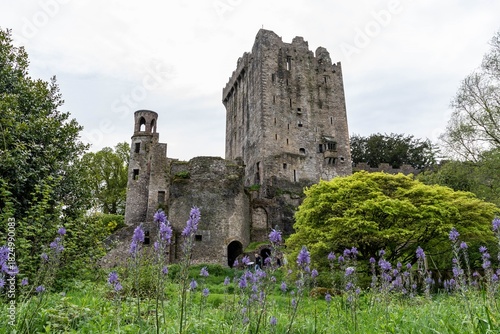 Blarney Castle in Irland - im Schloss befindet sich der Blarney Stone. Der Legende nach erhält man die Gabe des freien Sprechens, wenn man ihn küsst.