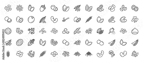 Nuts, seeds and legumes line icon set. Vector pictograms of almond, peanut, walnut, hazelnut, pistachio, bean, corn, wheat, coconut and coffee, thin linear illustration.