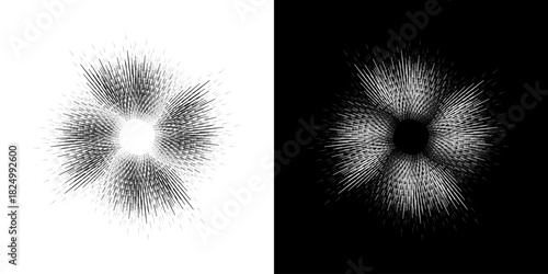 Dynamic abstract spiral sound wave rhythm lines. Circular spiral sound wave rhythm of lines. Circular futuristic abstract lines, black and white background.	