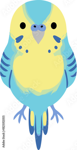 Cute blue and yellow budgerigar cartoon vector illustration.