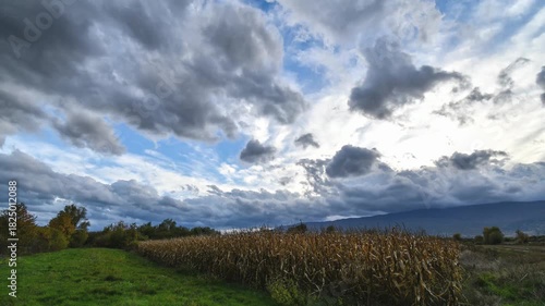 Time lapse footage of clouds over the field of corn. In the distance of the horizon mountain.