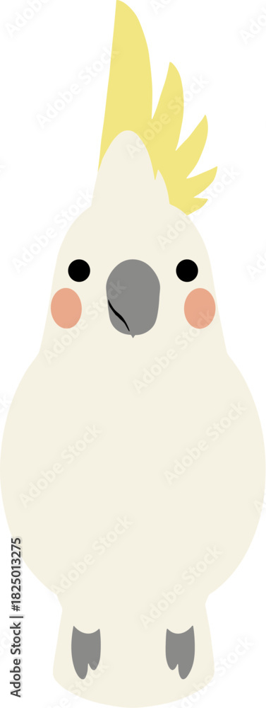 Fototapeta premium Cute cartoon cockatoo parrot with a yellow crest standing forward.