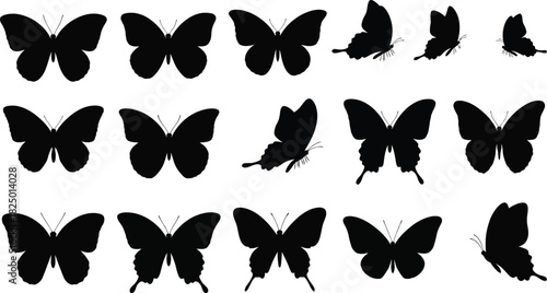 Butterfly silhouette collection black insects on white background