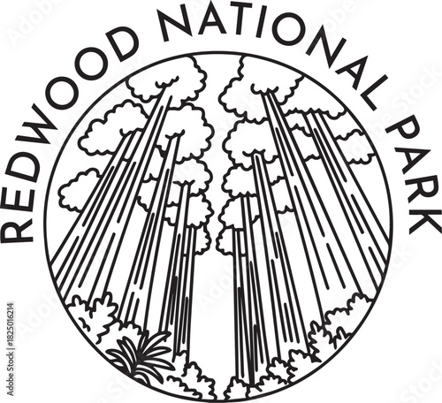 Redwood National Park monoline vintage outdoor badge design