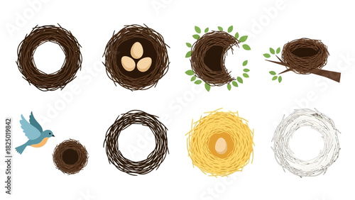 Vector illustration set of diverse bird nests, including empty, egg-filled, branch-mounted designs, and a flying bird, perfect for nature, spring, and wildlife graphic projects