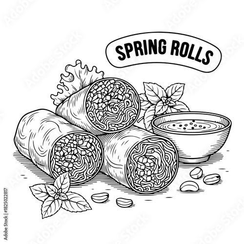 A detailed black and white illustration of Asian spring rolls with fresh herbs and a dipping sauce.