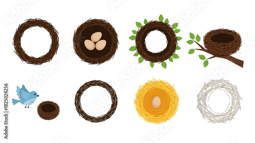 Diverse Bird Nests Collection Empty, with Eggs, and Bird Included