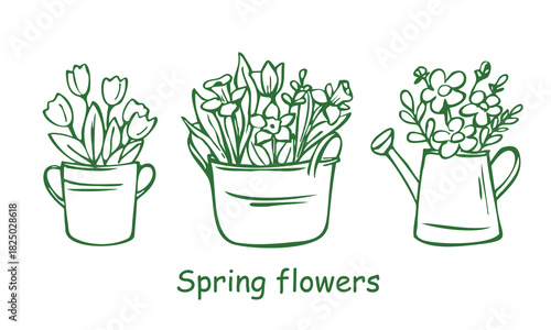 Set of outline bouquet spring flowers in watering can