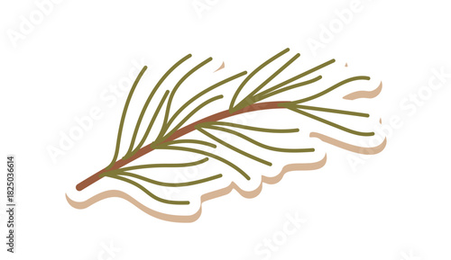 Flat style christmas fir branch sticker with green eco accent. Holiday decoration as pine plant gift box decor in kraft, perfect for festive nature art and winter celebration.