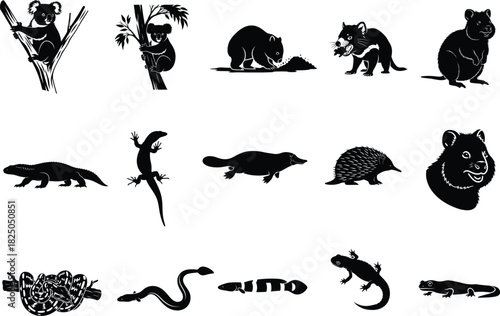 Australian wildlife silhouette collection koala kangaroo tasmanian devil and more