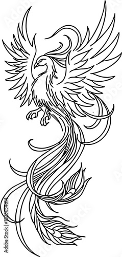Phoenix bird illustration of a tattoo art design