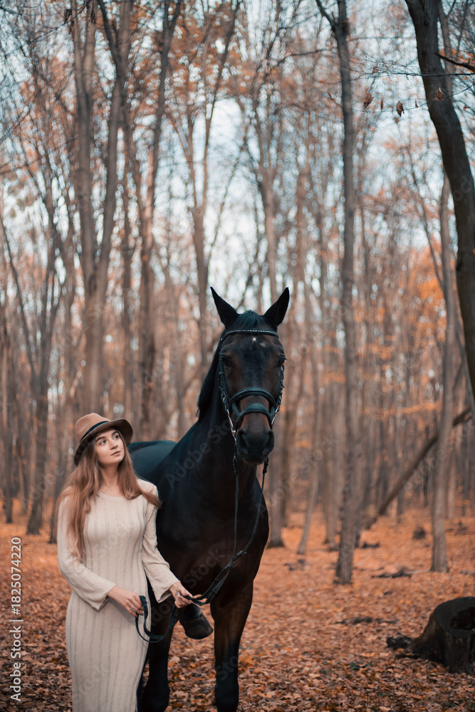 Obraz premium Woman stands with a horse in a forest during autumn while touching its face gently