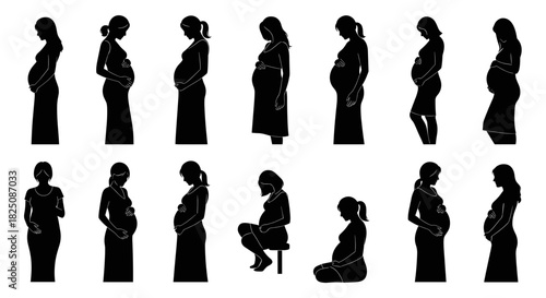 Silhouette of pregnant women: A collection of stages in motherhood and pregnancy