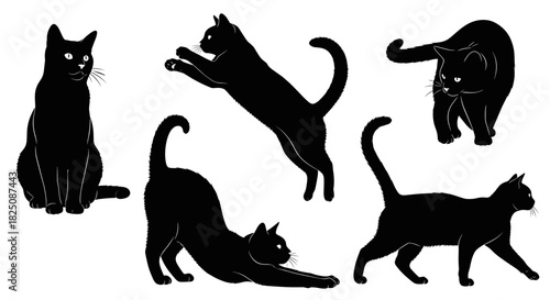 Elegant black cat silhouettes in playful poses, perfect for Halloween or pet designs