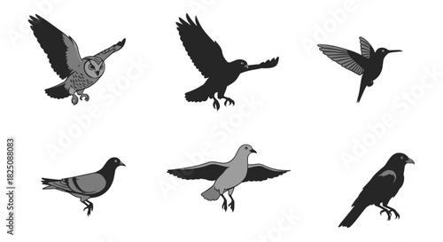 Diverse bird species collection, graceful flight and perched poses, nature and wildlife icon set