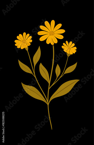 Golden Calendula Flower Illustration - Botanical Art with Retro Charm