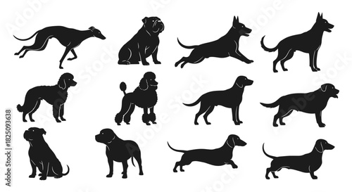 Diverse dog breeds silhouette collection perfect for pet lovers and veterinary designs