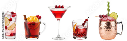 festive cranberry holiday cocktails isolated: gin and tonic,  hot spiced toddy,  frosted martini, old fashioned, moscow mule