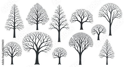 Tree Silhouette Vector Set Minimalist Winter Tree Illustrations for Design and Decoration