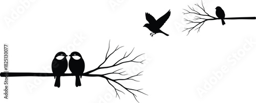 Birds on branches silhouettes, flying and perched bird illustration, nature wildlife artwork, romantic bird couple design for decoration projects