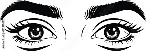 Female eyes illustration, detailed eyebrow and eyelash artwork, expressive eye line drawing, beauty fashion graphic design for makeup projects