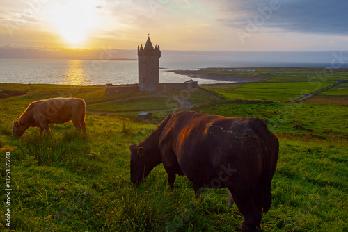 Canvas Print Beautiful scenery sunset landscape with an old Irish Doonegore Castle, grazing cows  and coastal beach views of doolin and the aran islands