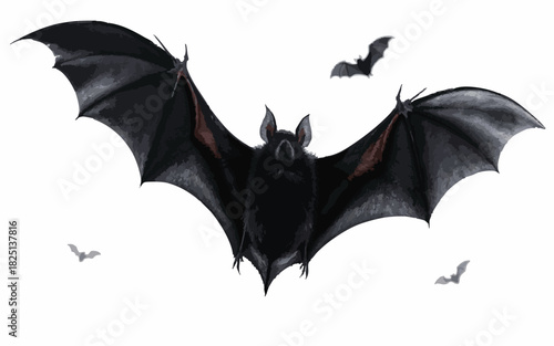 "Nocturnal Majesty: Black Bat in Flight on White"Print